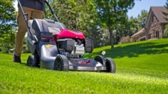 Are Reel Lawn Mowers Still Effective?