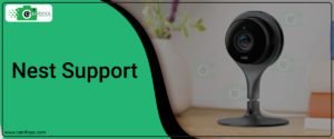 Nest Support