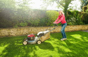 Finding the Best Lawn Mower For Your Backyard