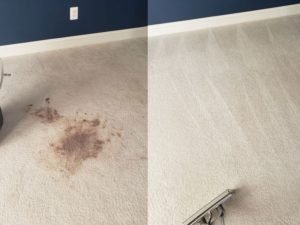 Carpet Cleaning