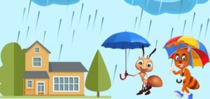 Pests That Come in Monsoon