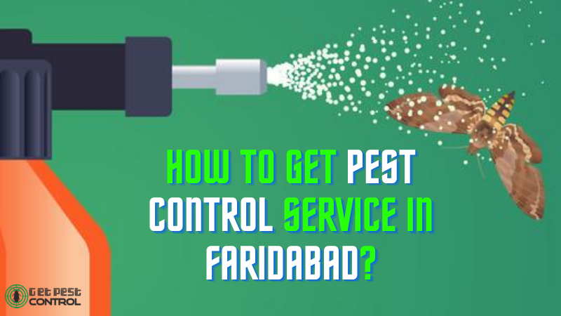 How to Get Pest Control Service in Faridabad?