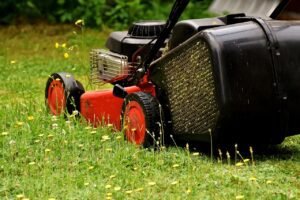 Lawn Mower Engines