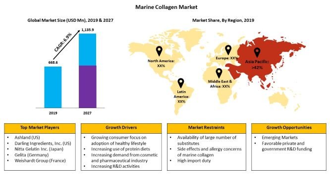 Marine Collagen Market