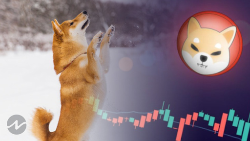 doge vs shiba