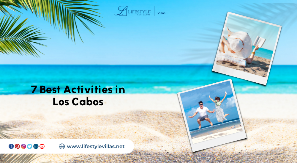 Cabos Excursions & Activities
