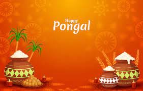 What is Pongal?