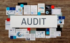 auditing and assurance services