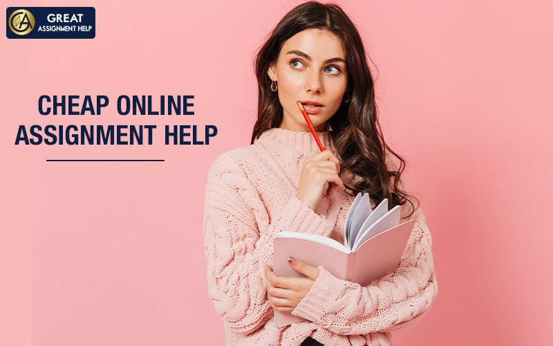 Assignment Help